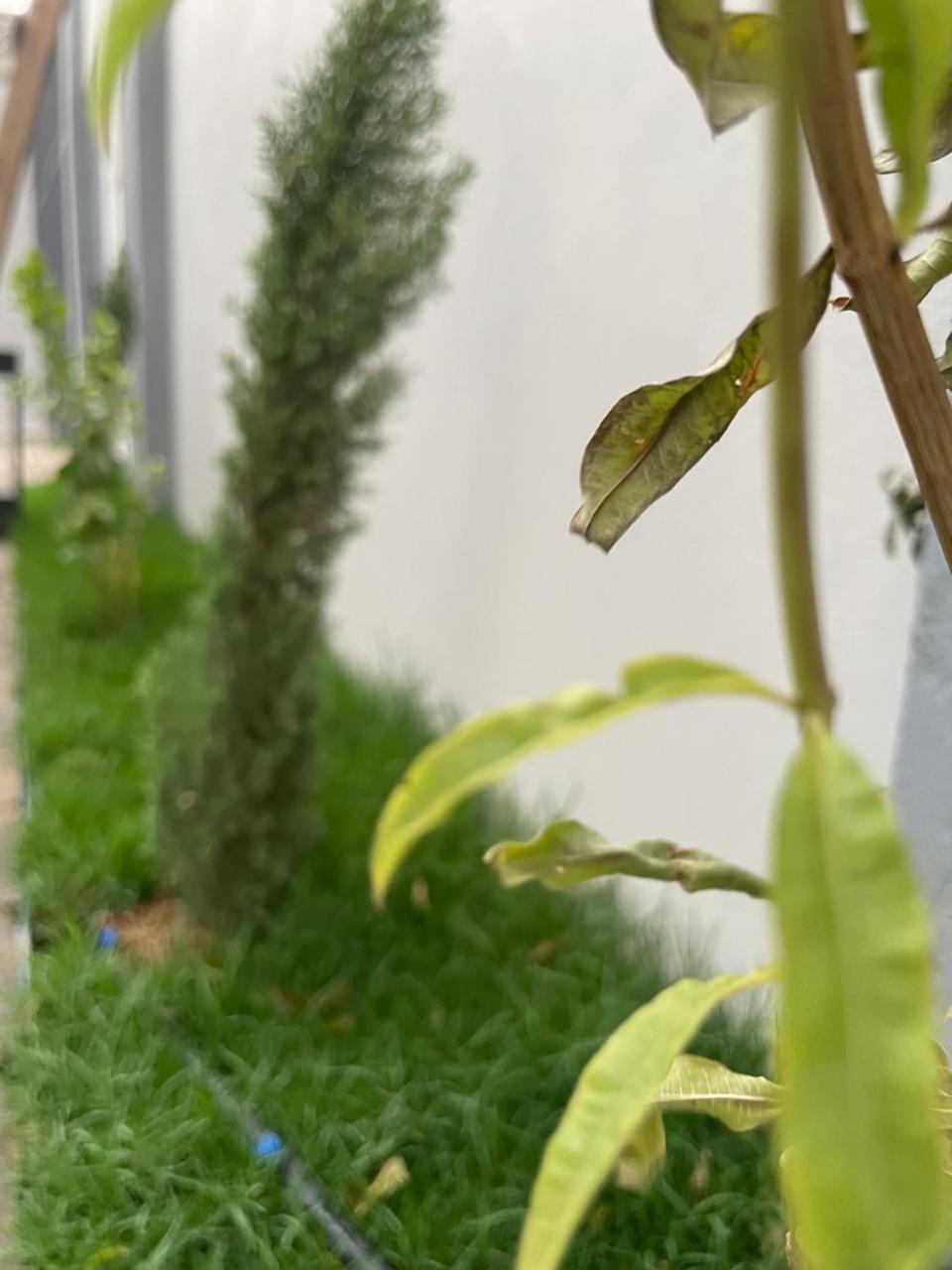 Garden Land Aparthotel Khamis Mushait Ngoại thất bức ảnh
